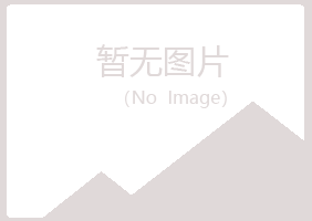 白银平川念寒金融有限公司